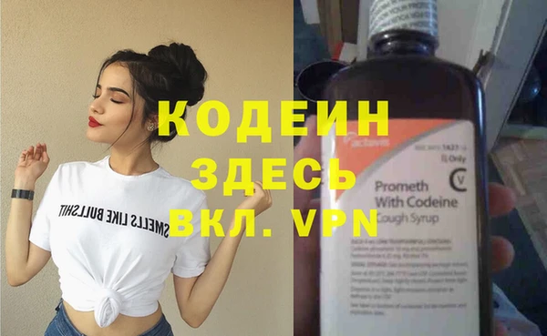 ПСИЛОЦИБИНОВЫЕ ГРИБЫ Гусь-Хрустальный