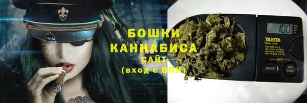дмт Дмитровск