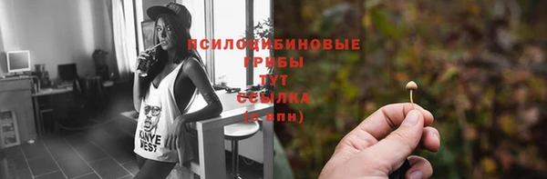 МДПВ Дмитров