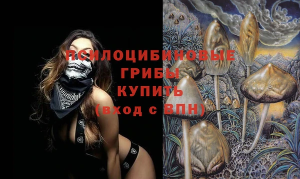 МДПВ Дмитров
