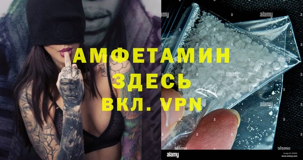 ПСИЛОЦИБИНОВЫЕ ГРИБЫ Гусь-Хрустальный