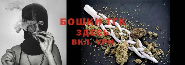 ПСИЛОЦИБИНОВЫЕ ГРИБЫ Гусь-Хрустальный