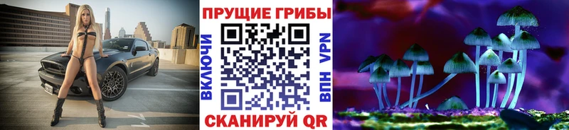 Псилоцибиновые грибы GOLDEN TEACHER  Купить закладки  Пласт 